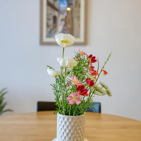 Special 3br With Private Terraces In Mellieha By 360 Estates * Ix-Xaghra ta' Barra